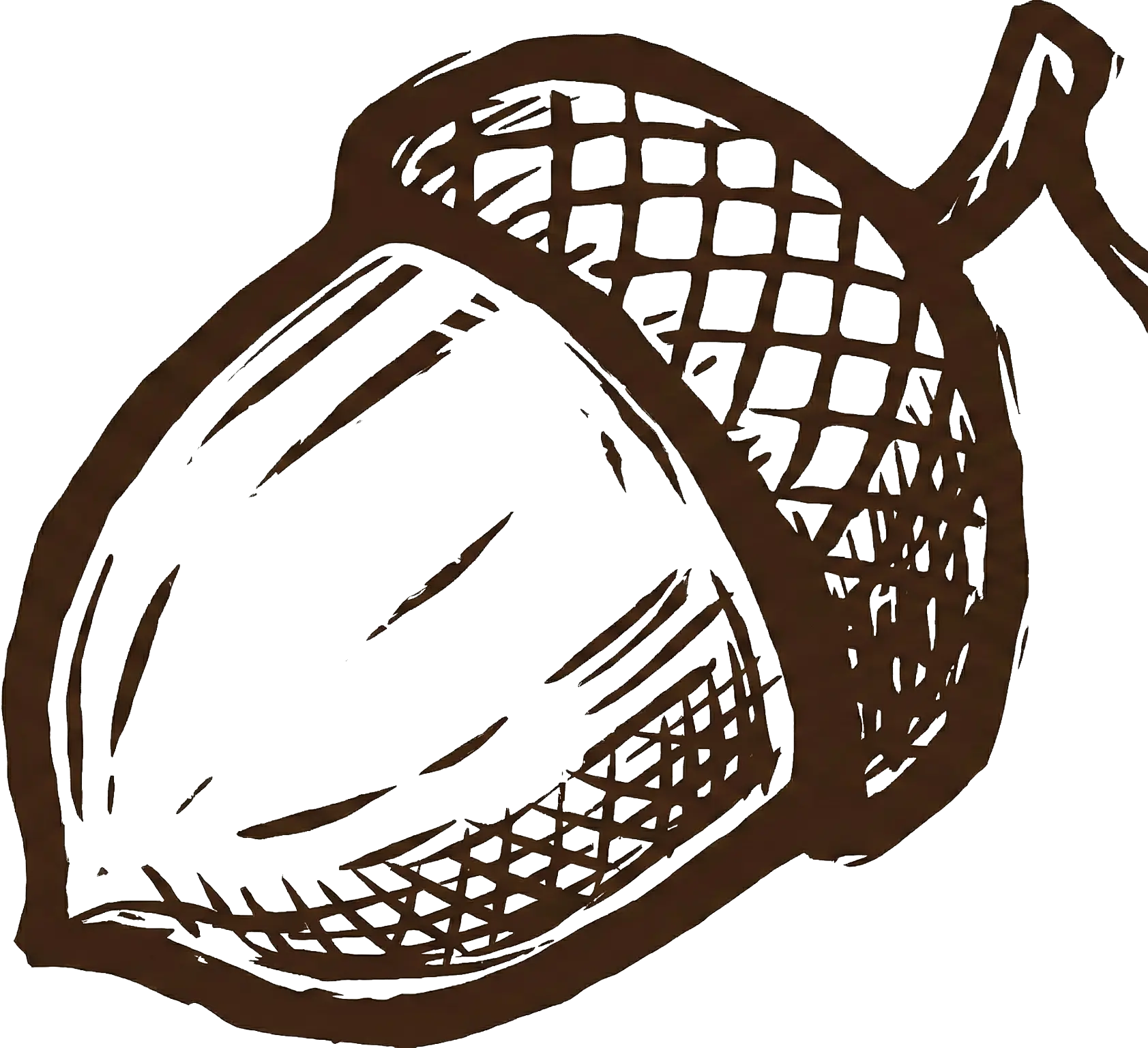 Oak & Craft Workshop